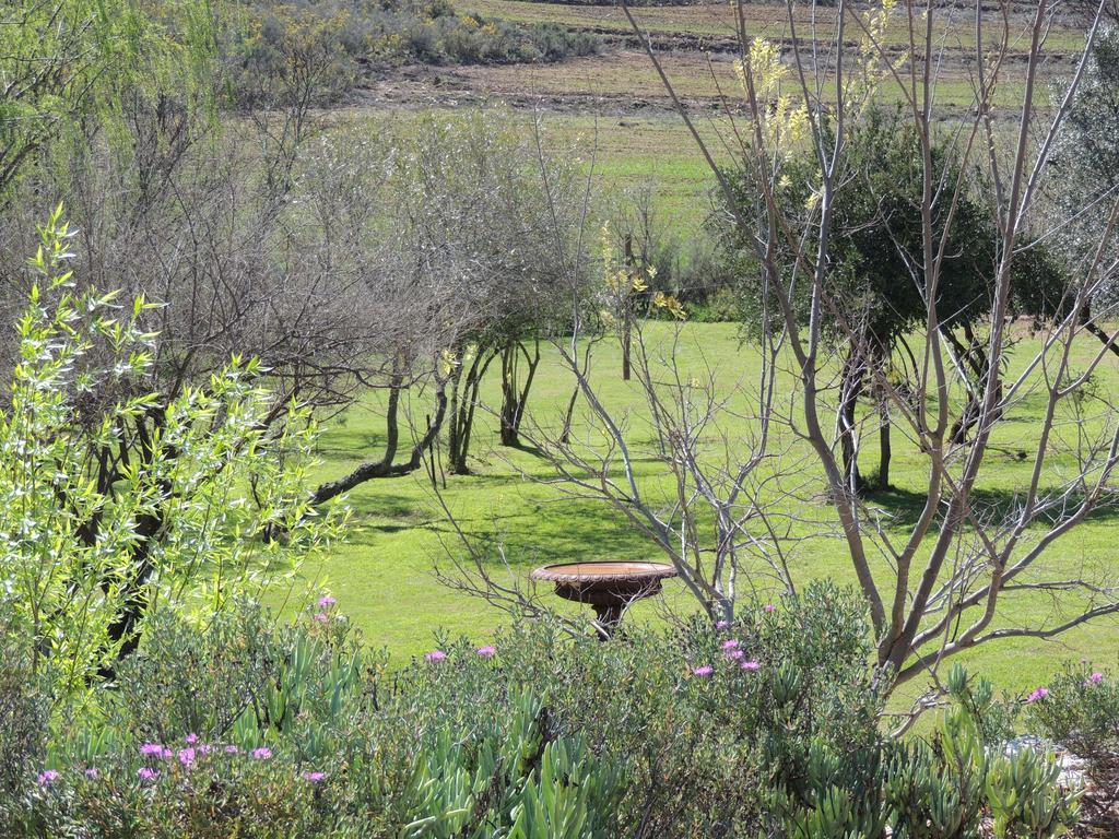 De Cango Hotel Oudtshoorn Eksteriør billede