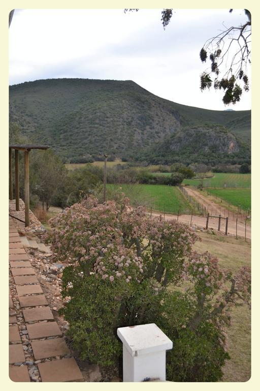De Cango Hotel Oudtshoorn Værelse billede